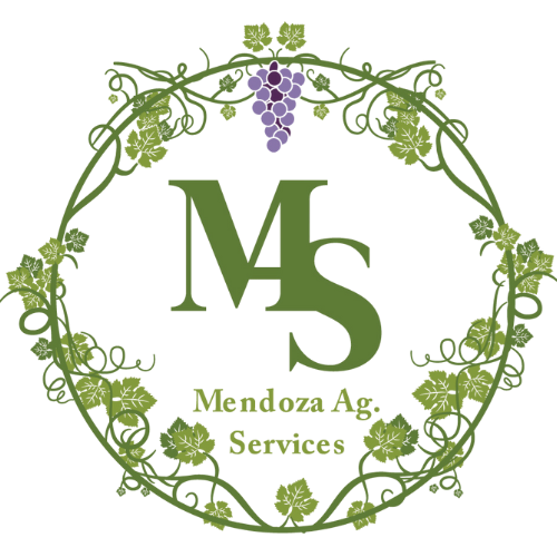 Mendoza Ag. Services website