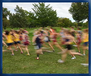 Presentational Cross Country visual