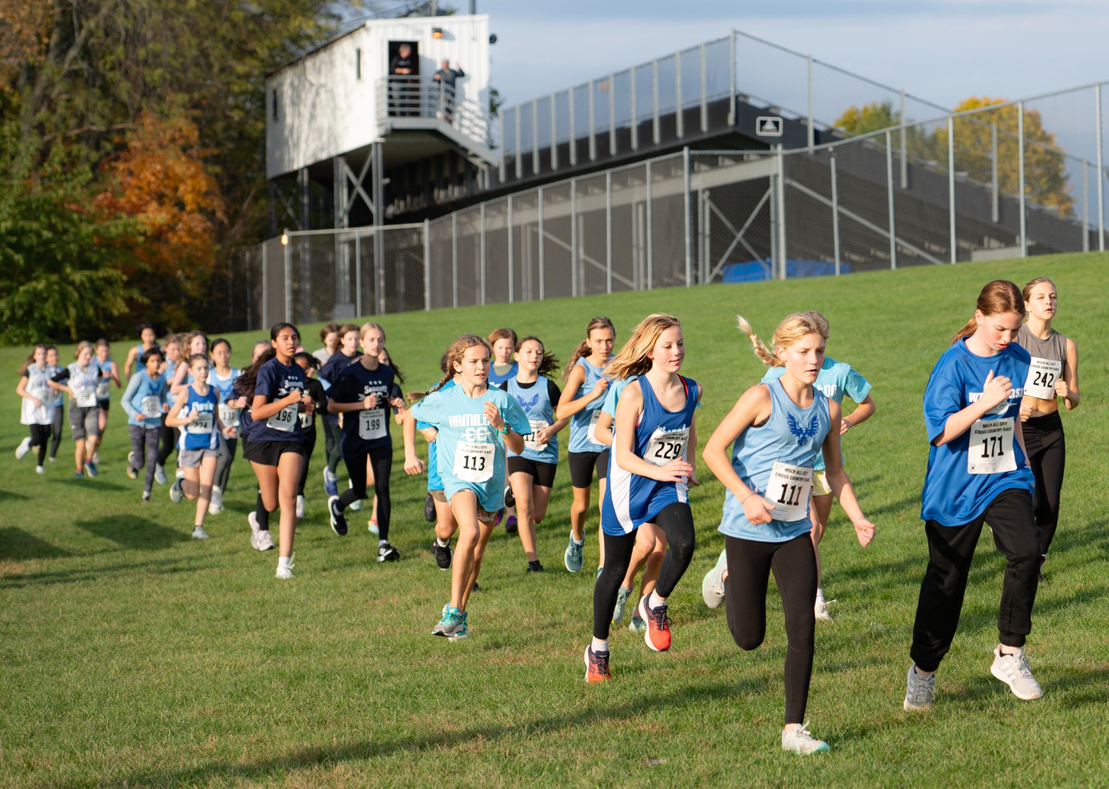Tennis ball on a court
