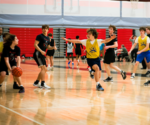 Presentational HS Metro Basketball visual