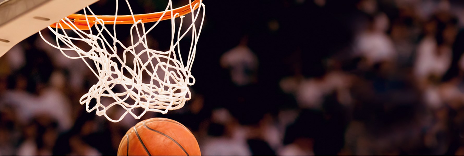 Photo gallery image 2