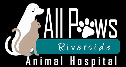 All Paws Riverside Animal Hospital website
