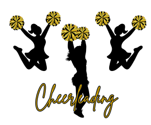 Presentational 2026 Fall Sideline Cheer visual