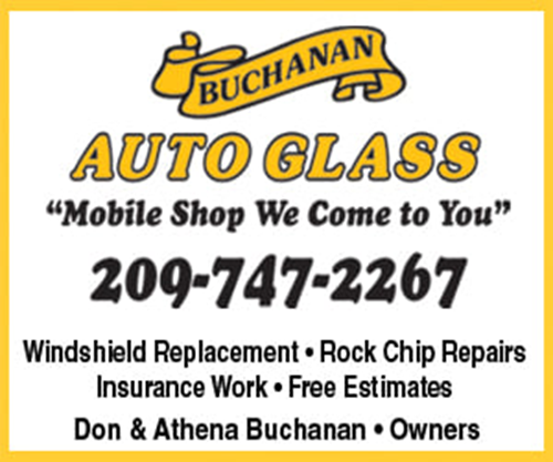 Buchanan Auto Glass website