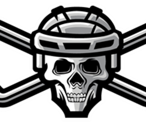 Presentational Learn To Play Hockey Class visual