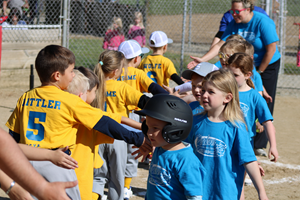 Presentational SCYA T Ball visual