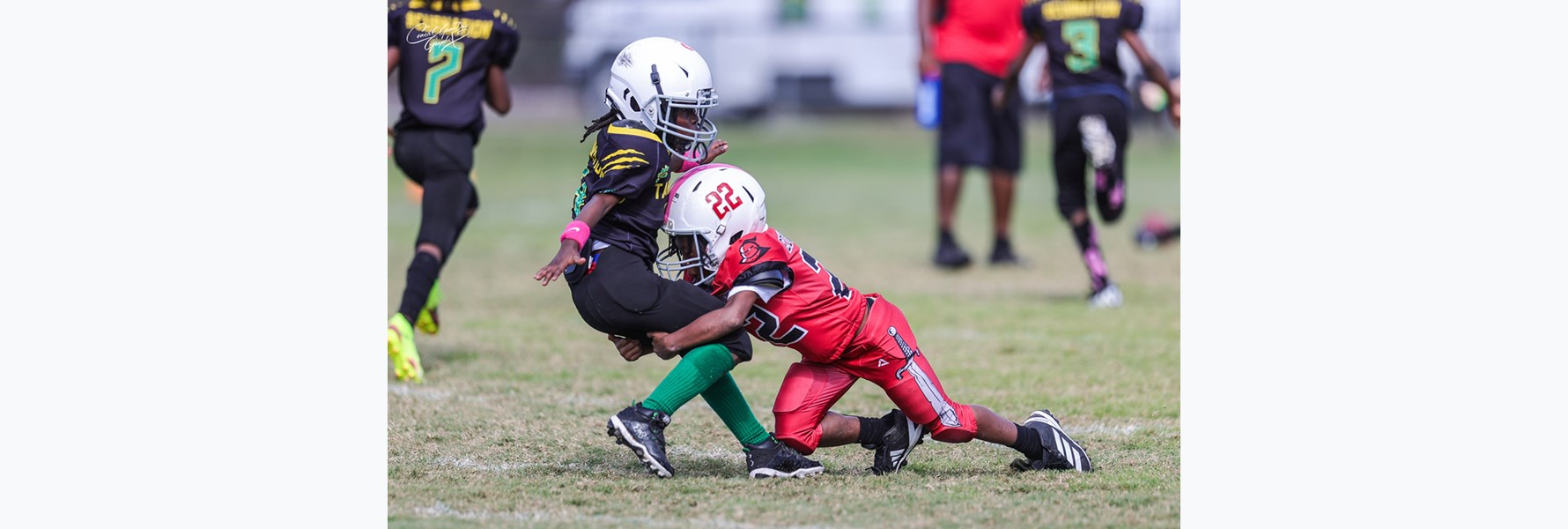 Photo gallery image 20