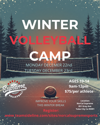 Presentational Winter Volleyball Camp 2025 visual
