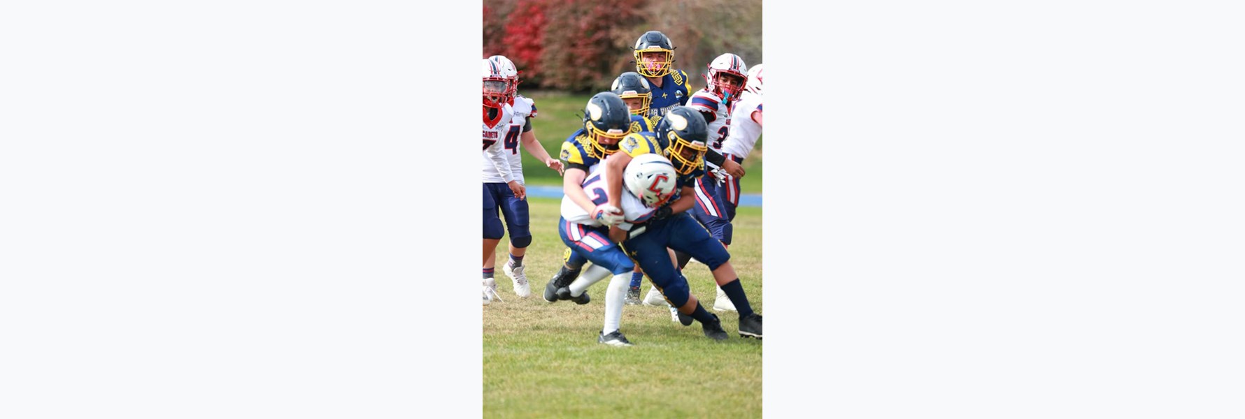 Photo gallery image 2