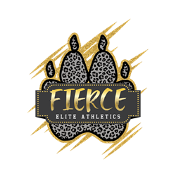 Presentational CB MASS CAMP visual