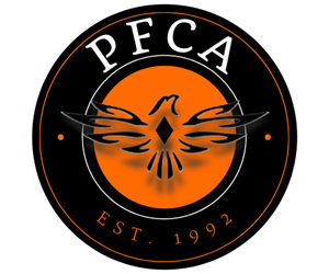 Presentational Cheer Clinic **4/13/26** visual