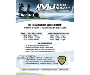 Presentational Winter Camp 2025 visual