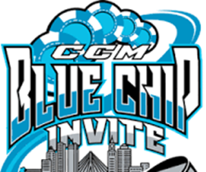 Presentational Blue Chip visual