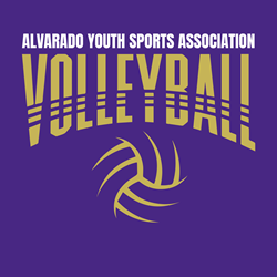 Presentational AYSA Spring Volleyball visual