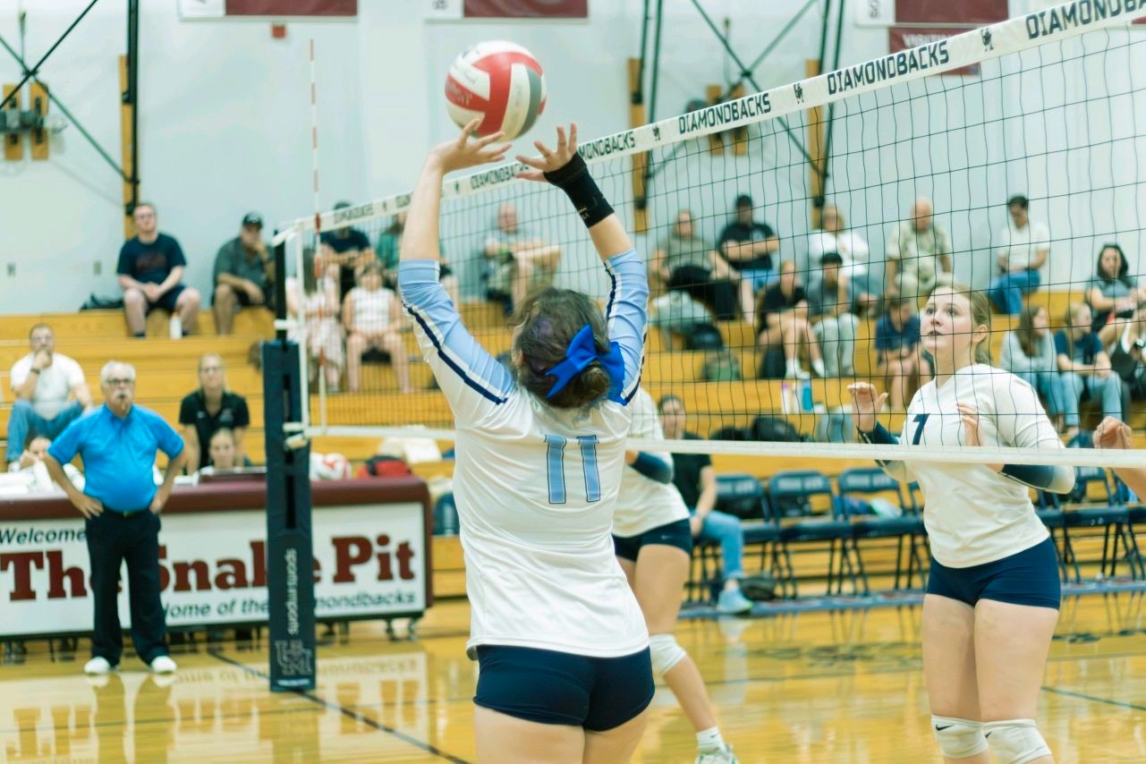 Tennis ball on a court