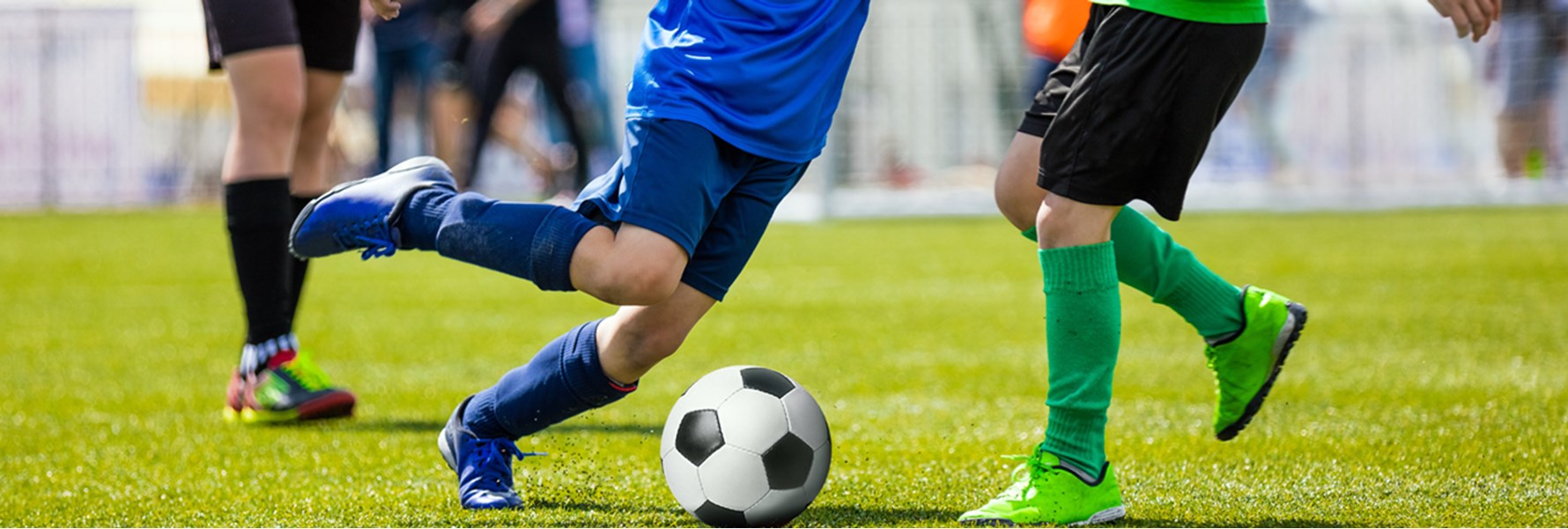 Photo gallery image 1