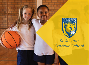 Presentational JOE K-2 Basketball visual
