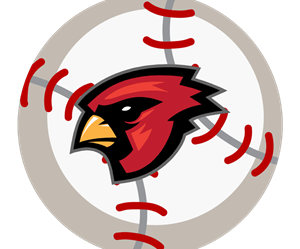 Presentational 2026 Baseball visual