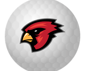 Presentational 2026 Boys Golf visual