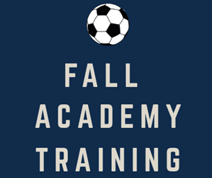 Presentational Fall Academy Training Program visual
