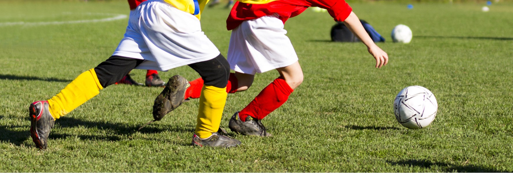 Photo gallery image 1