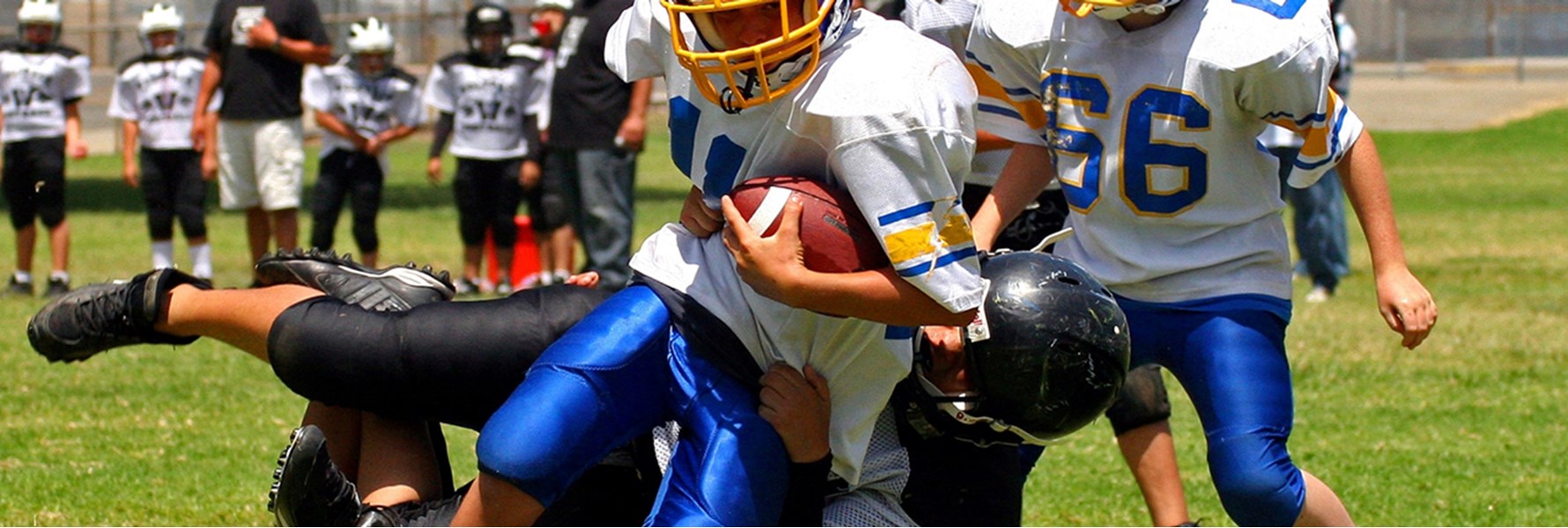 Photo gallery image 2