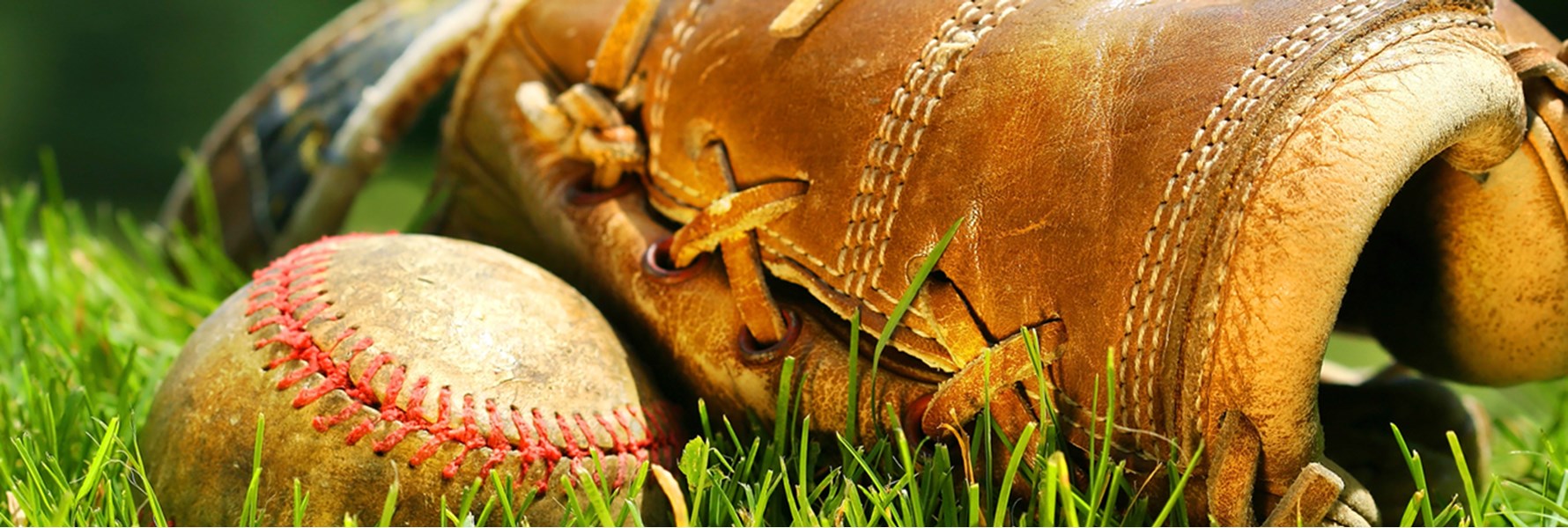 Photo gallery image 2