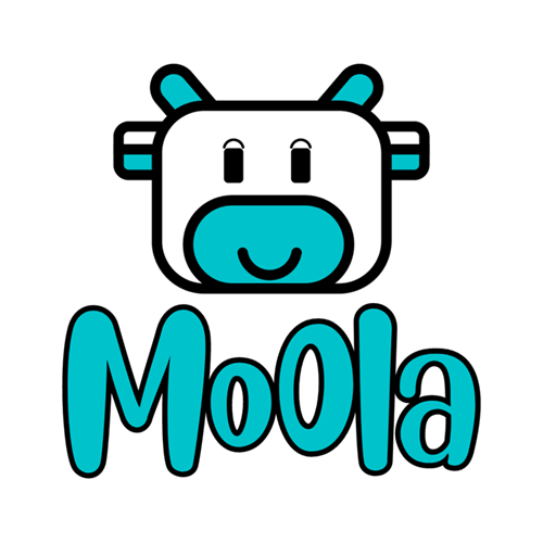 Moola POS website