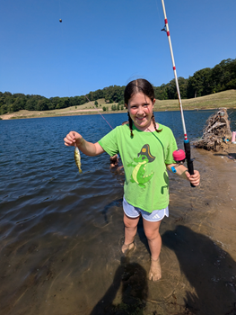 Summer Registration Is Open link