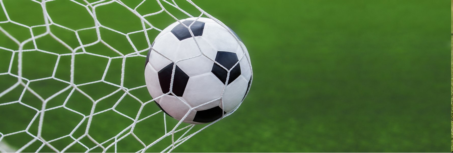 Photo gallery image 1