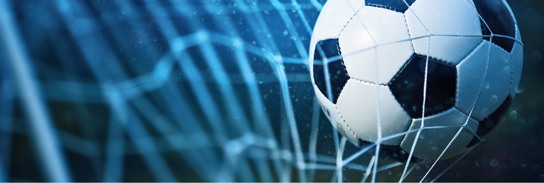 Photo gallery image 2