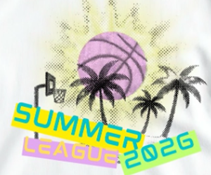 Presentational SFYBL Summer League 2026 visual