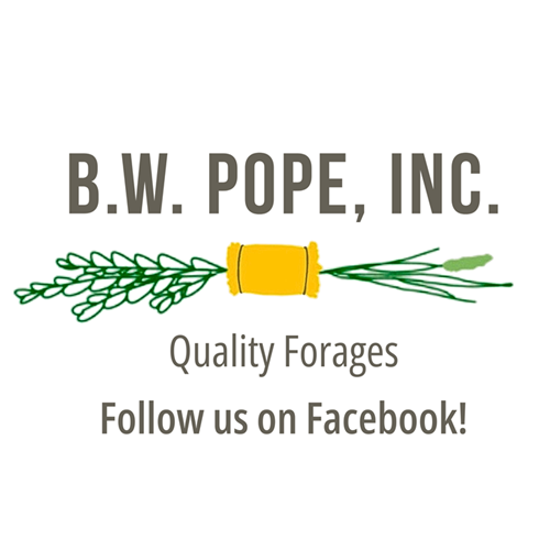 B.W. Pope, INC. website