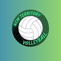 Presentational Volleyball League- Winter visual