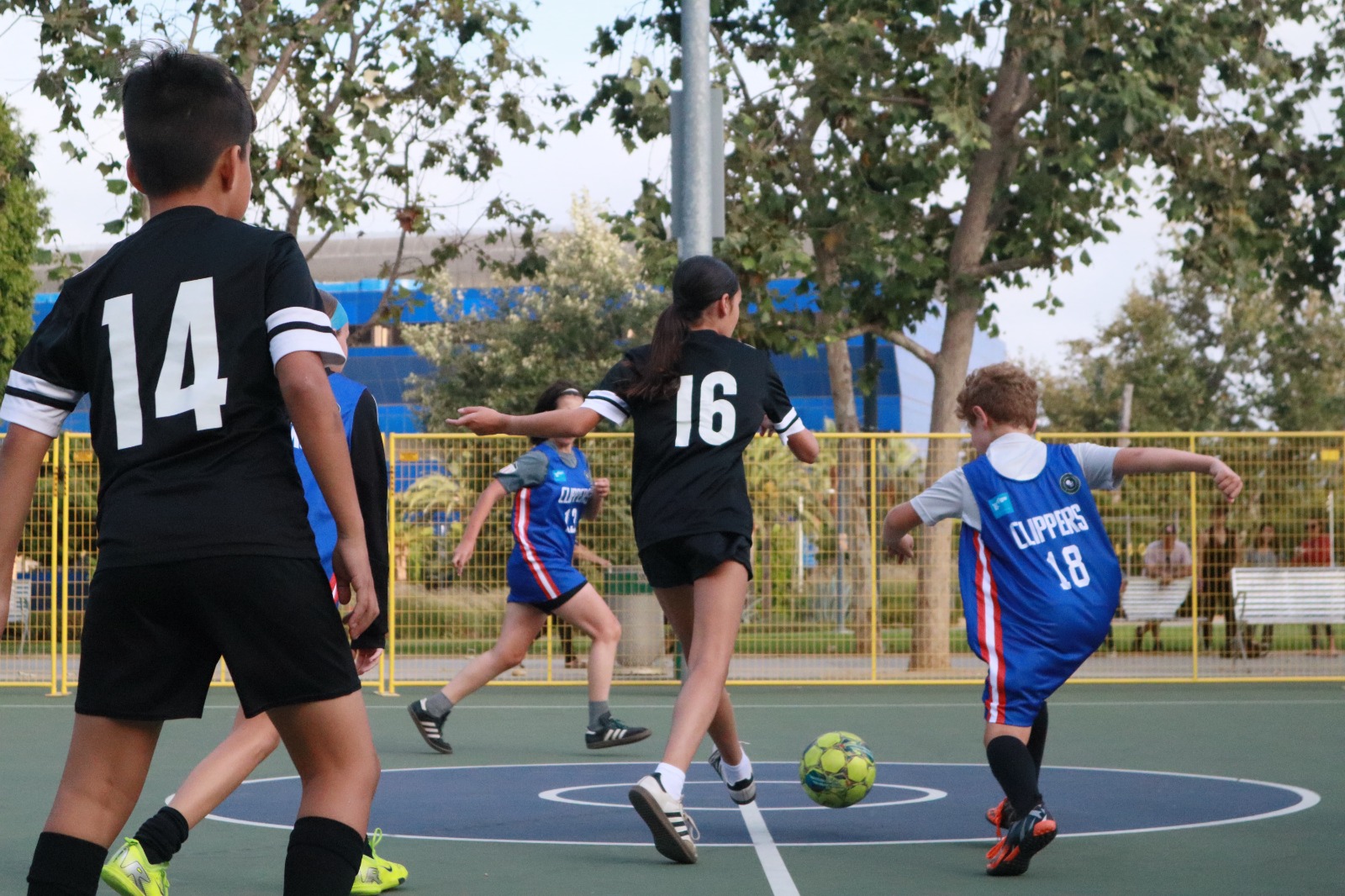 Youth Basketball League