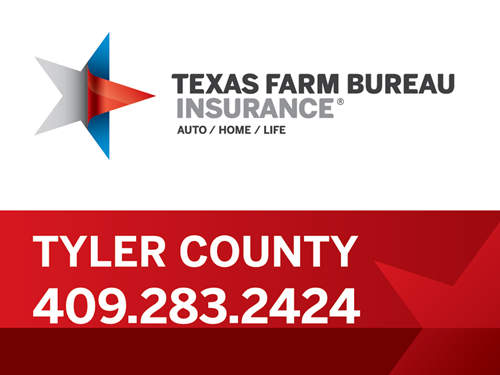 Dallas Hatton website