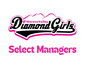 Presentational Select Manager visual