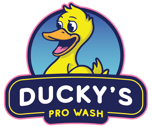 Ducky's Pro Wash website