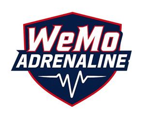 Presentational WeMo Fall Academy Teams visual