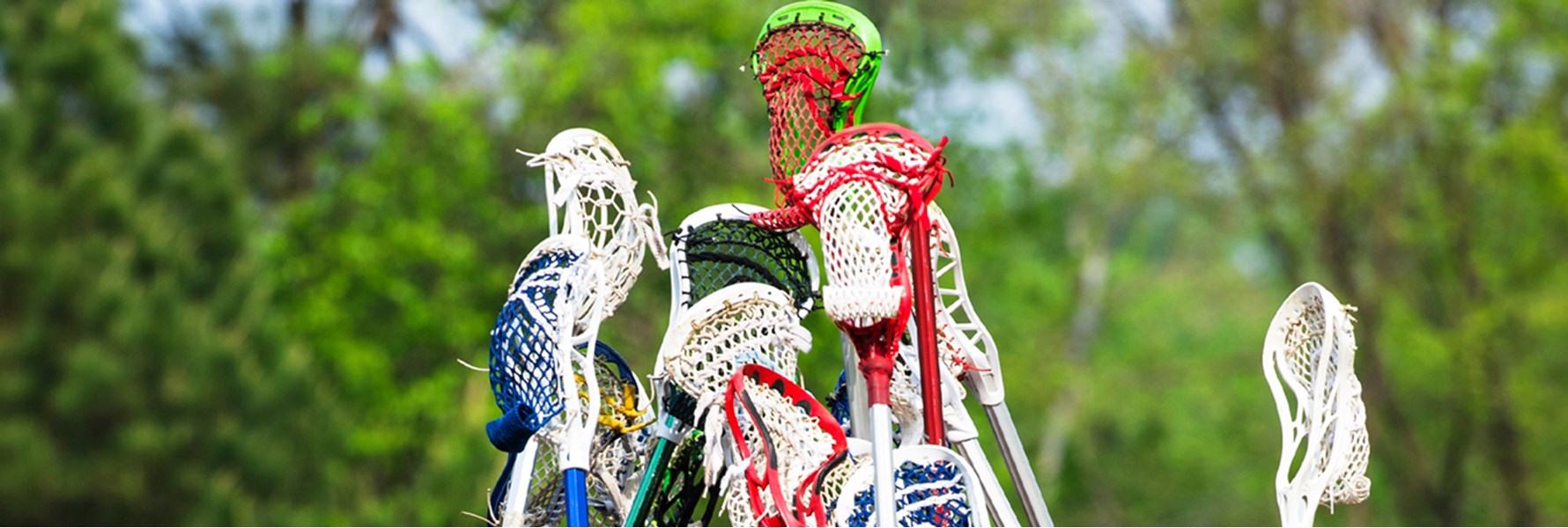 Photo gallery image 1