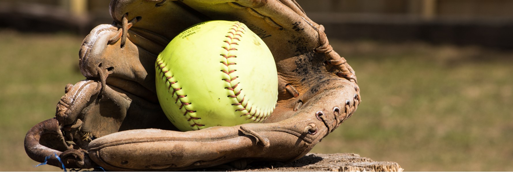 Photo gallery image 2