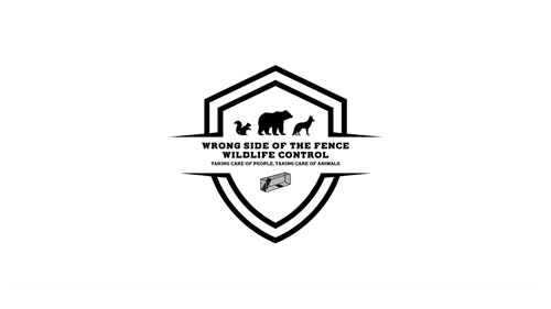 Wildlife Control website