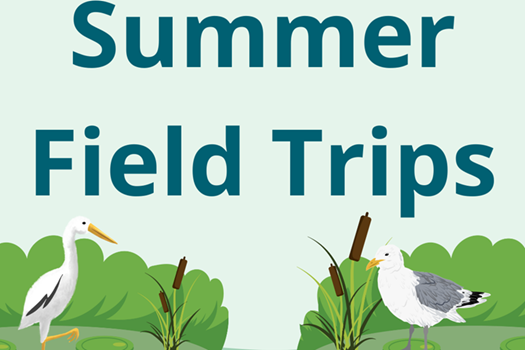 SVA Field Trips  link