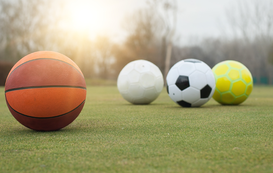Fall Sport Registration  link