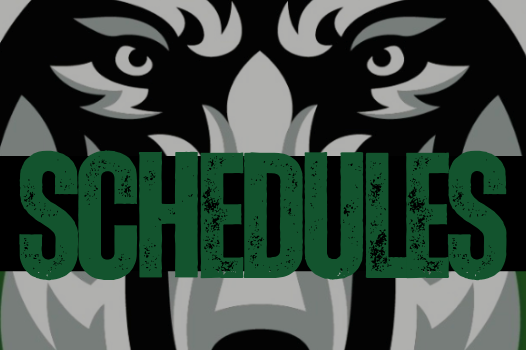 GAME SCHEDULES link