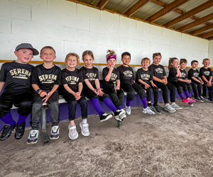 Presentational T-Ball visual