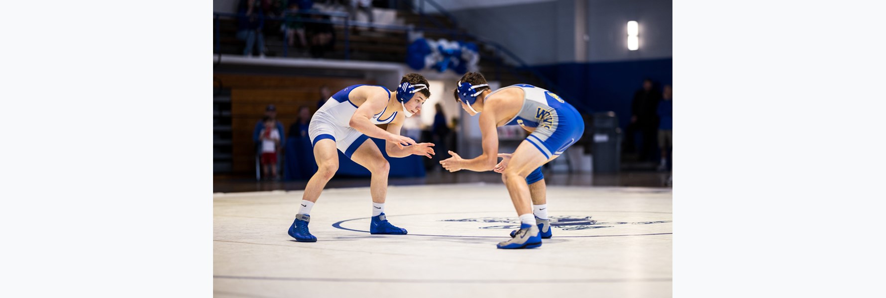 Photo gallery image 2